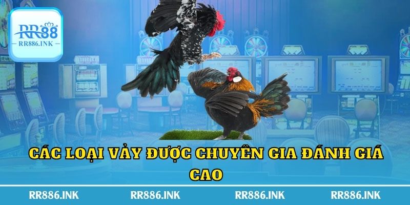 Các loại vảy được chuyên gia đánh giá cao