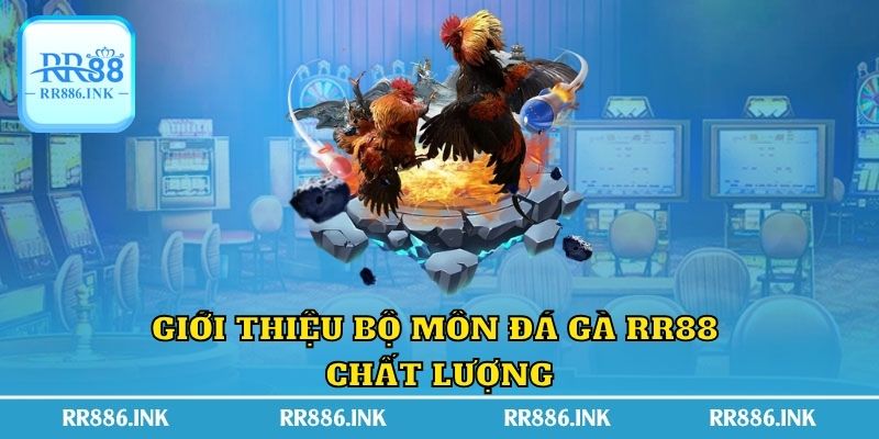 Giới thiệu bộ môn đá gà RR88 chất lượng