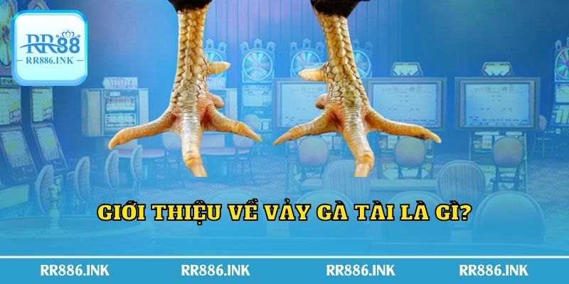 Giới thiệu về vảy gà tài là gì?