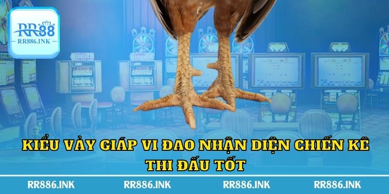 Kiểu vảy giáp vi đao nhận diện chiến kê thi đấu tốt