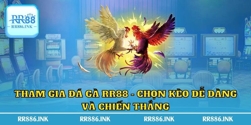 Tham gia giải đá gà RR88 cựa dao hấp dẫn