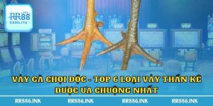 Vảy Gà Chọi Độc - Top 6 Loại Vảy Thần Kê Được Ưa Chuộng Nhất